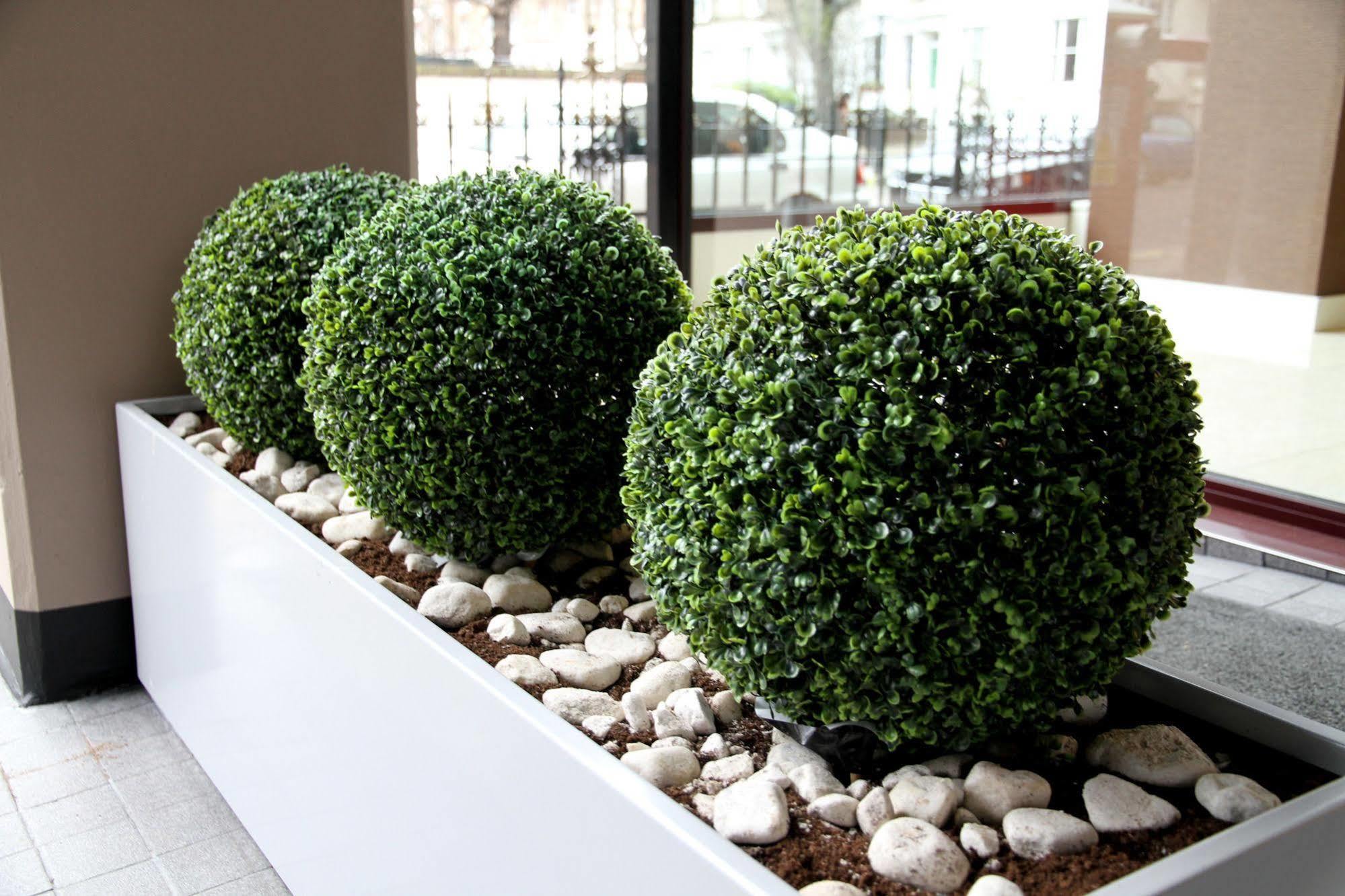 Hotel Lily Londres Exterior foto